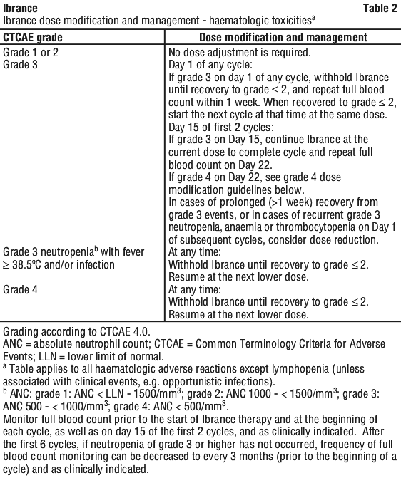 IBRANC02.gif