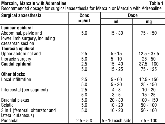 MARCAI01.gif