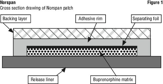 NRSFIG01.gif