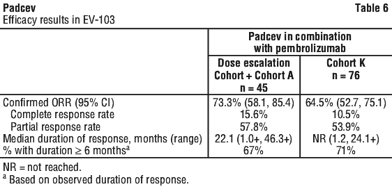 PADCEV06.gif