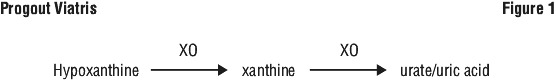 PVIFIG01.gif