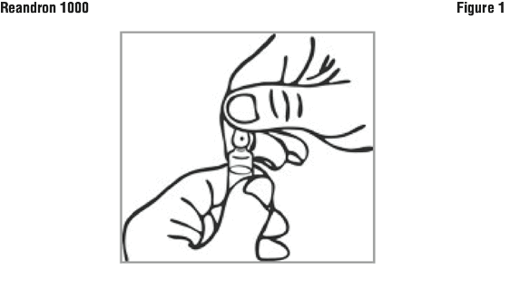REANFIG1.gif