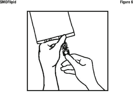 SLIFIG06.gif