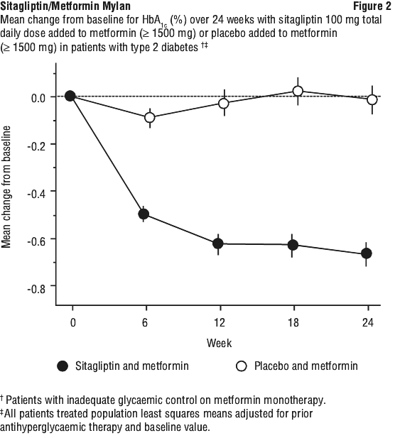 SMMFIG02.gif