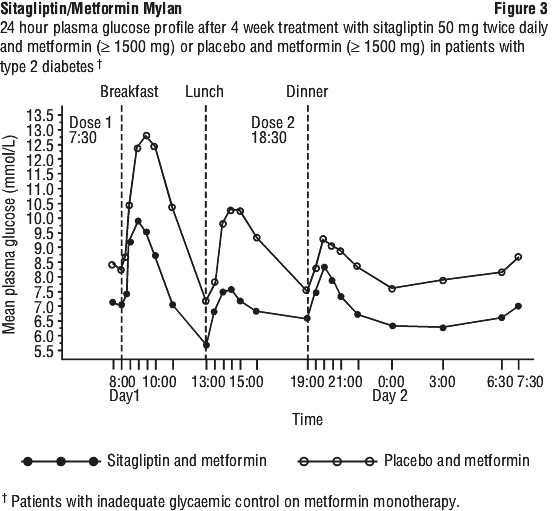 SMMFIG03.gif