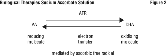 SOASFIG2.gif