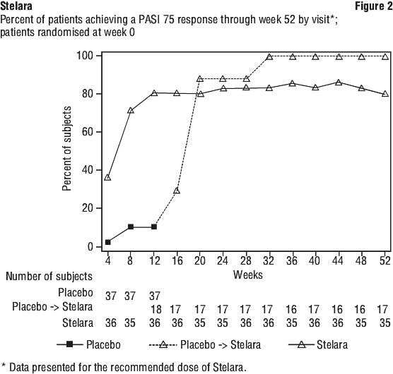 STEFIG02.gif
