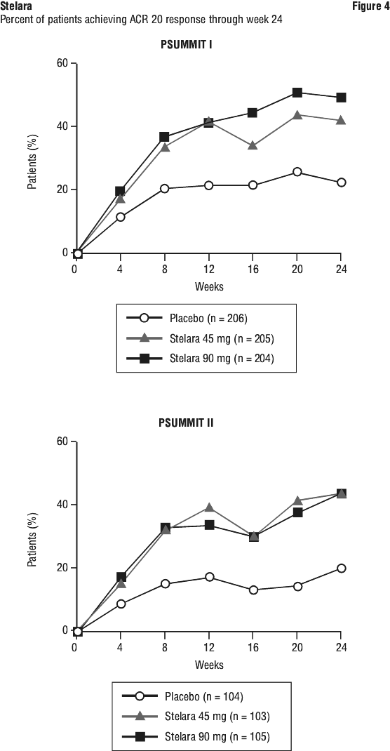 STEFIG04.gif