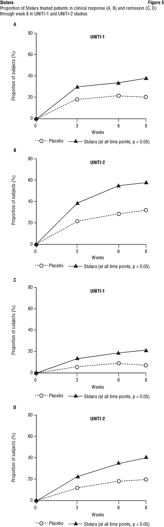 STEFIG05.gif