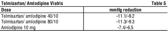 TEAMVI05.gif