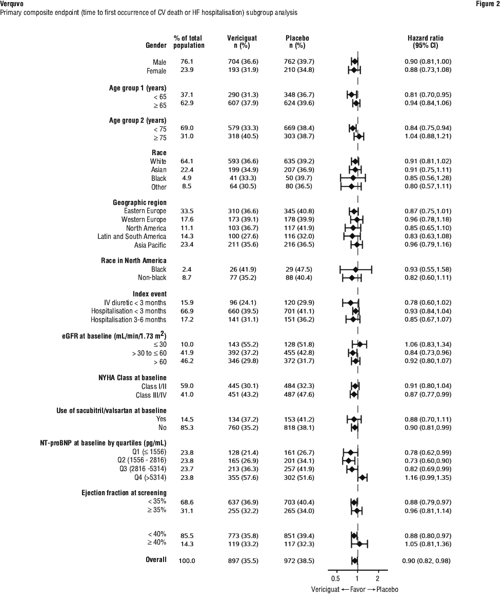 VERFIG02.gif
